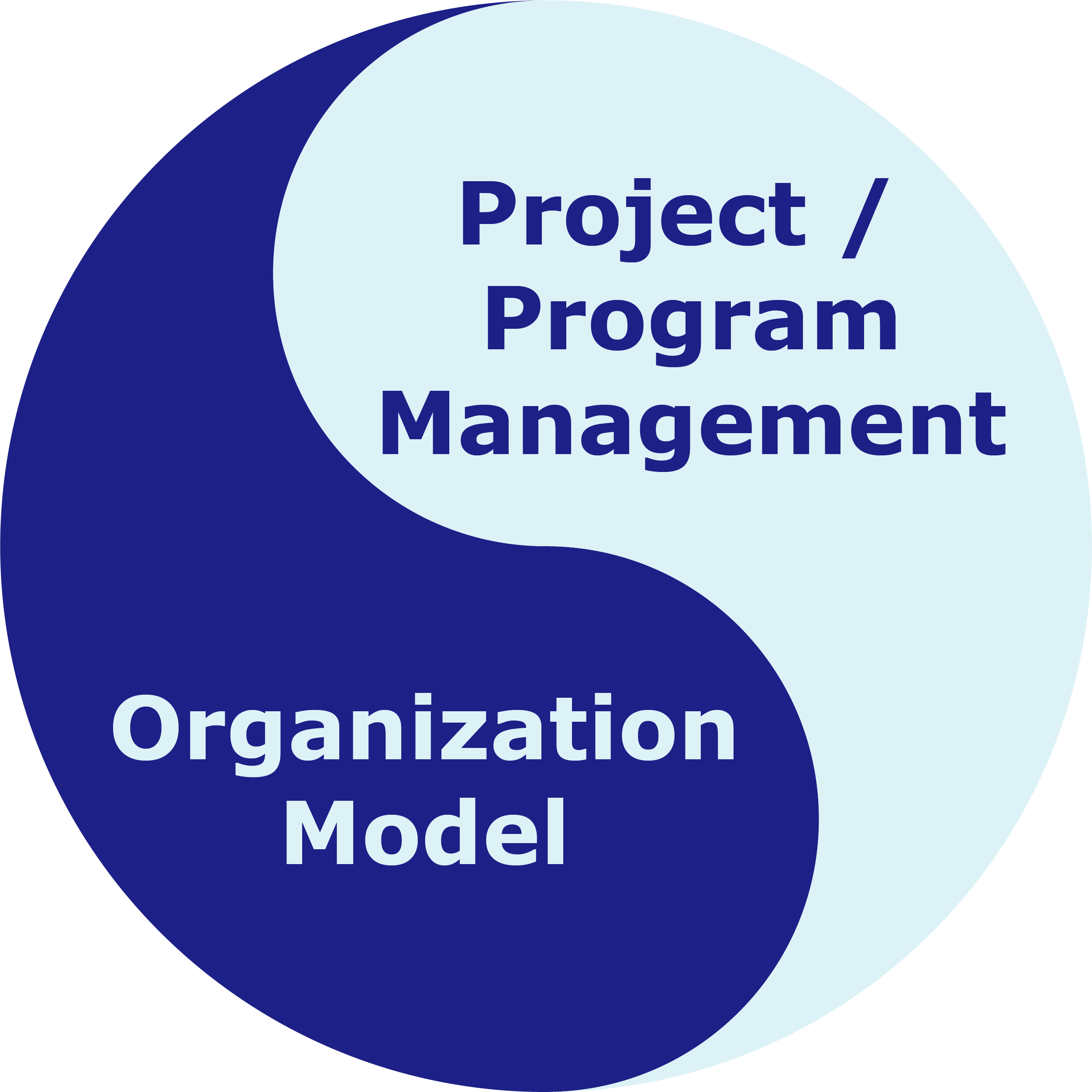 Project/Program Management & Organization Model